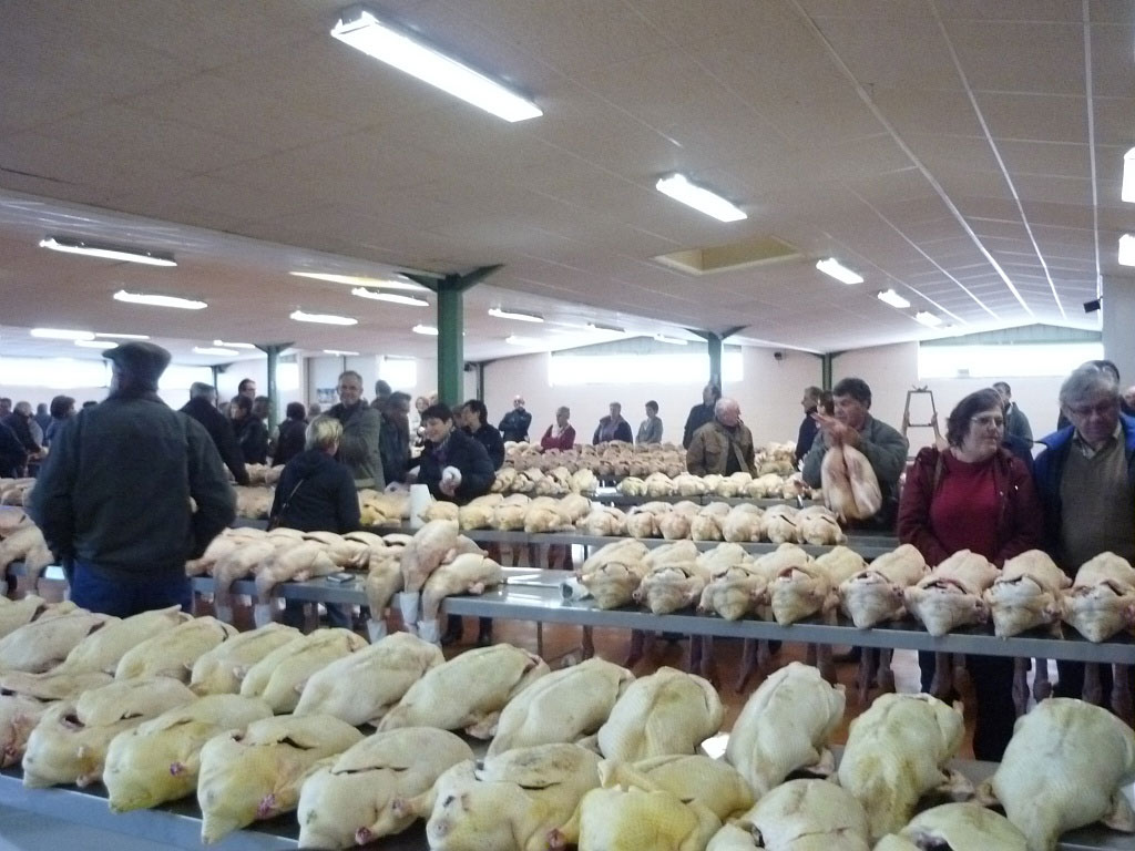 marché au gras-Samatan Gers- Les volailles grasses sont sur les étals.