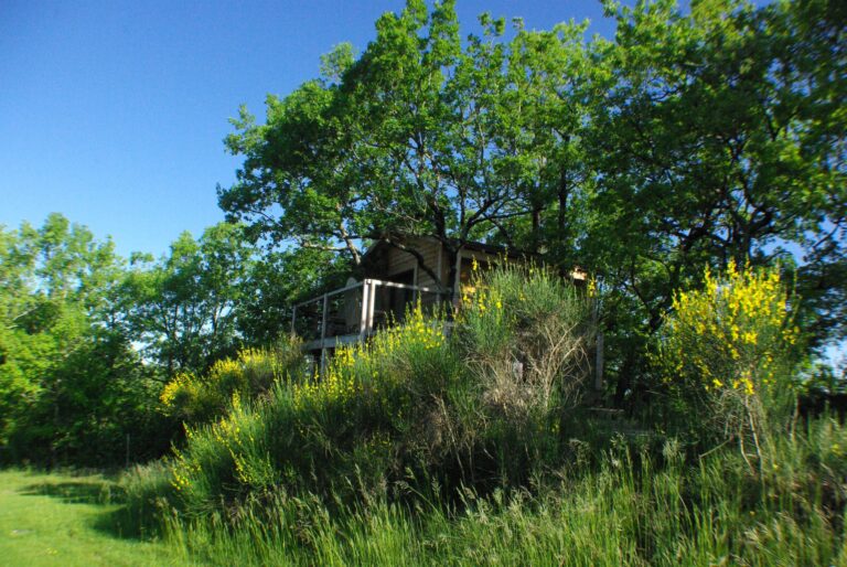 cabane dans les arbres gers