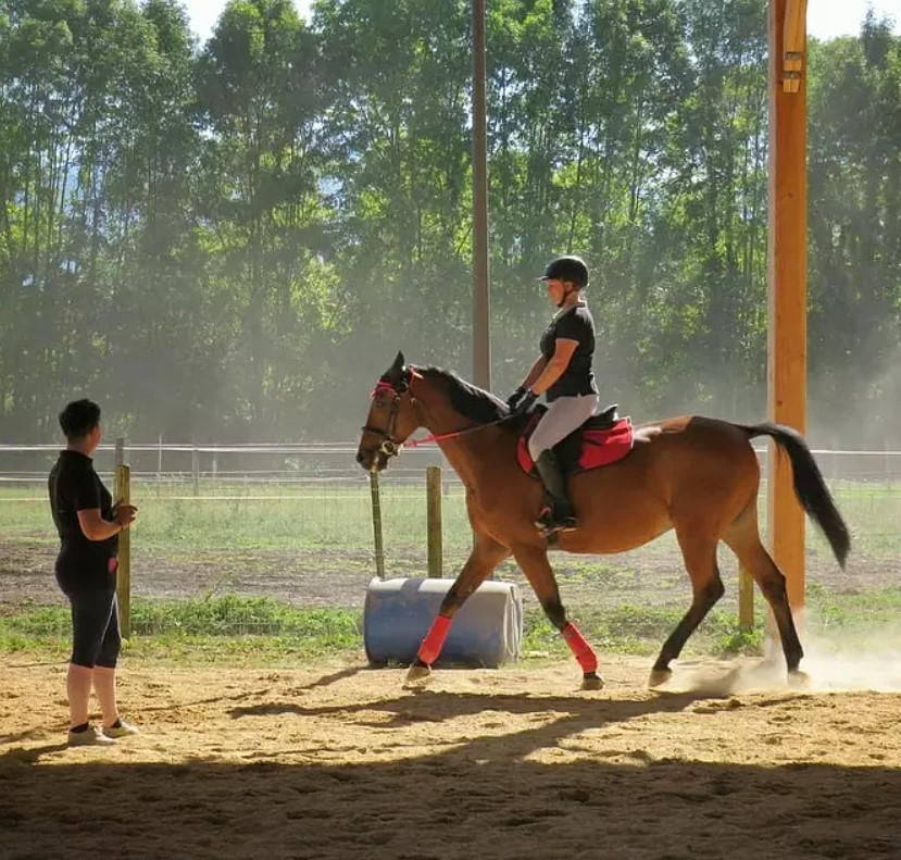 Equitation et multi-activités 7 nuits dans le Gers