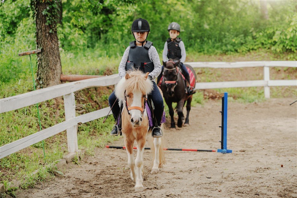 Les petits fermiers gascons dans le Gers