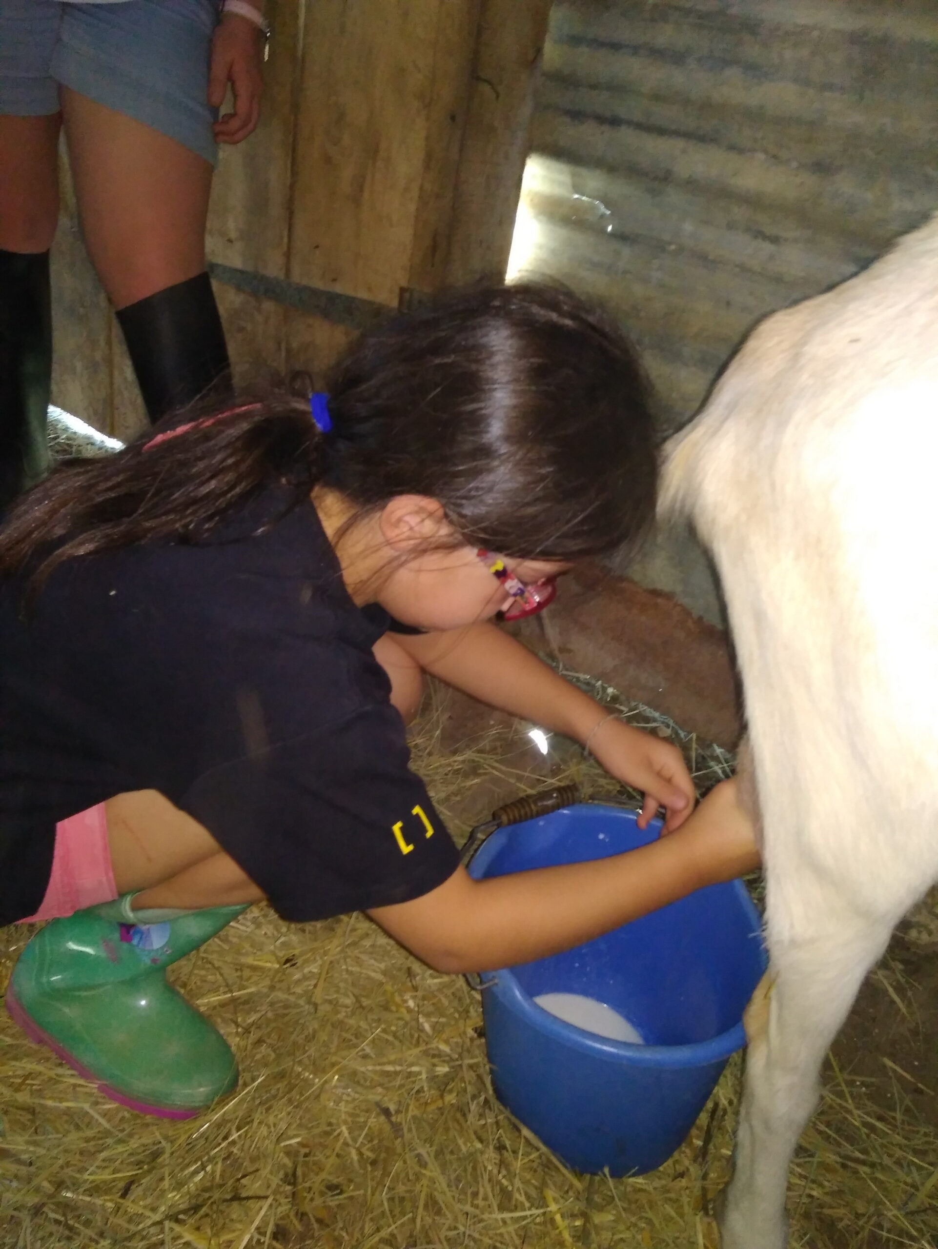 Vive les vacances à la ferme dans le Gers