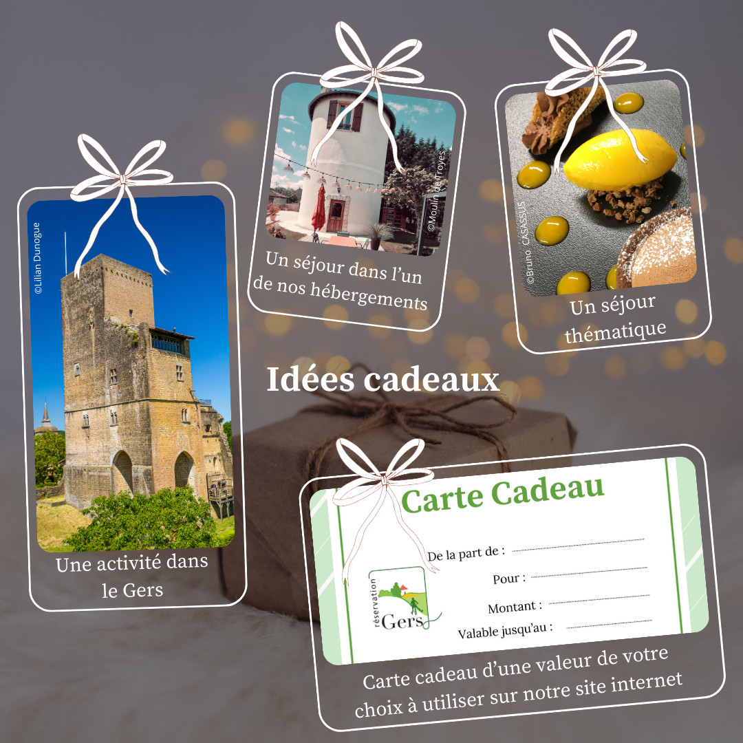 Carte-cadeau-gers -reservation-week-end et séjour-sejours enfants