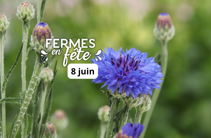 Fermes en fete-circuit-saves-bienvenue à la ferme-gers