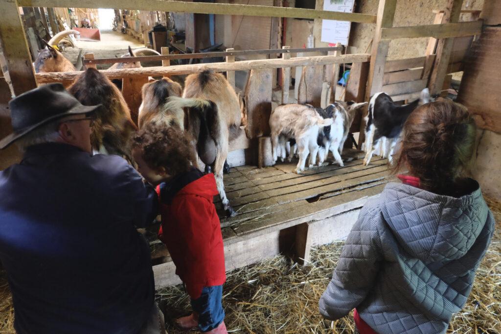 Sejours enfants à la ferme gers