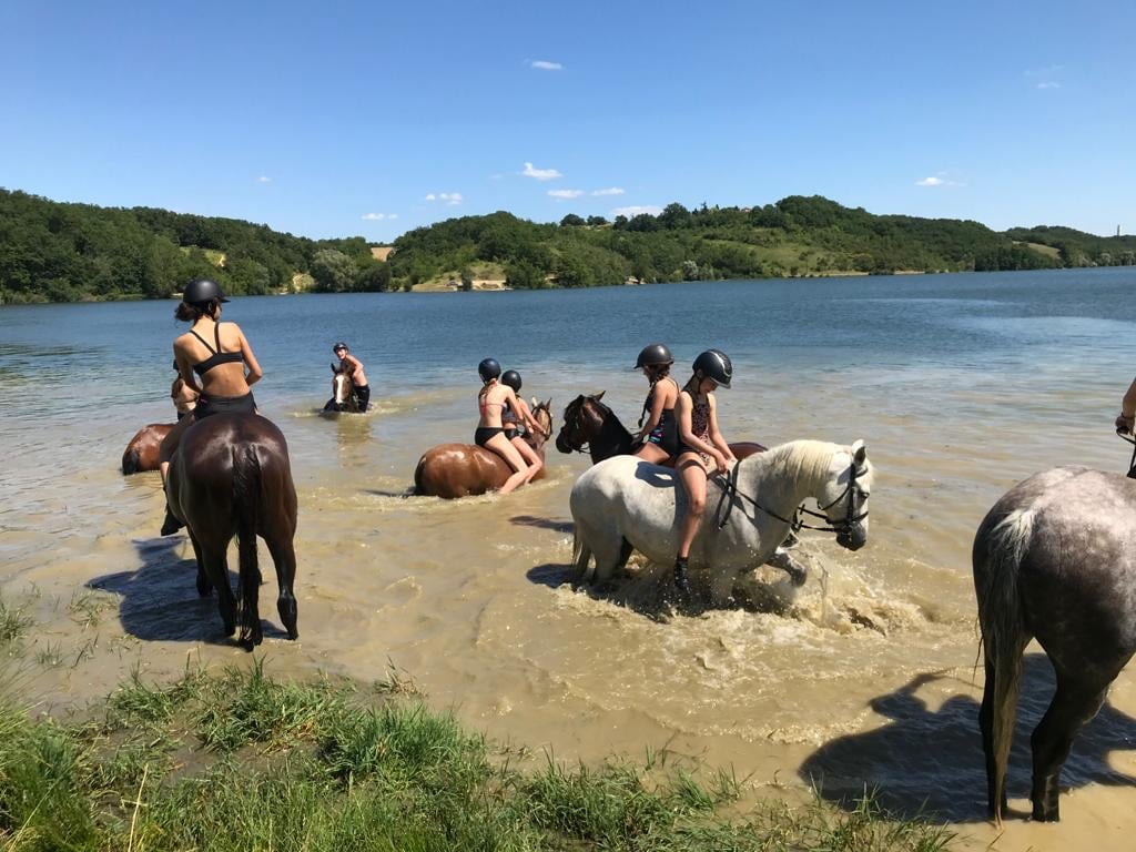 sejour Equitation enfant et ado baignade en lac avec les chevaux
