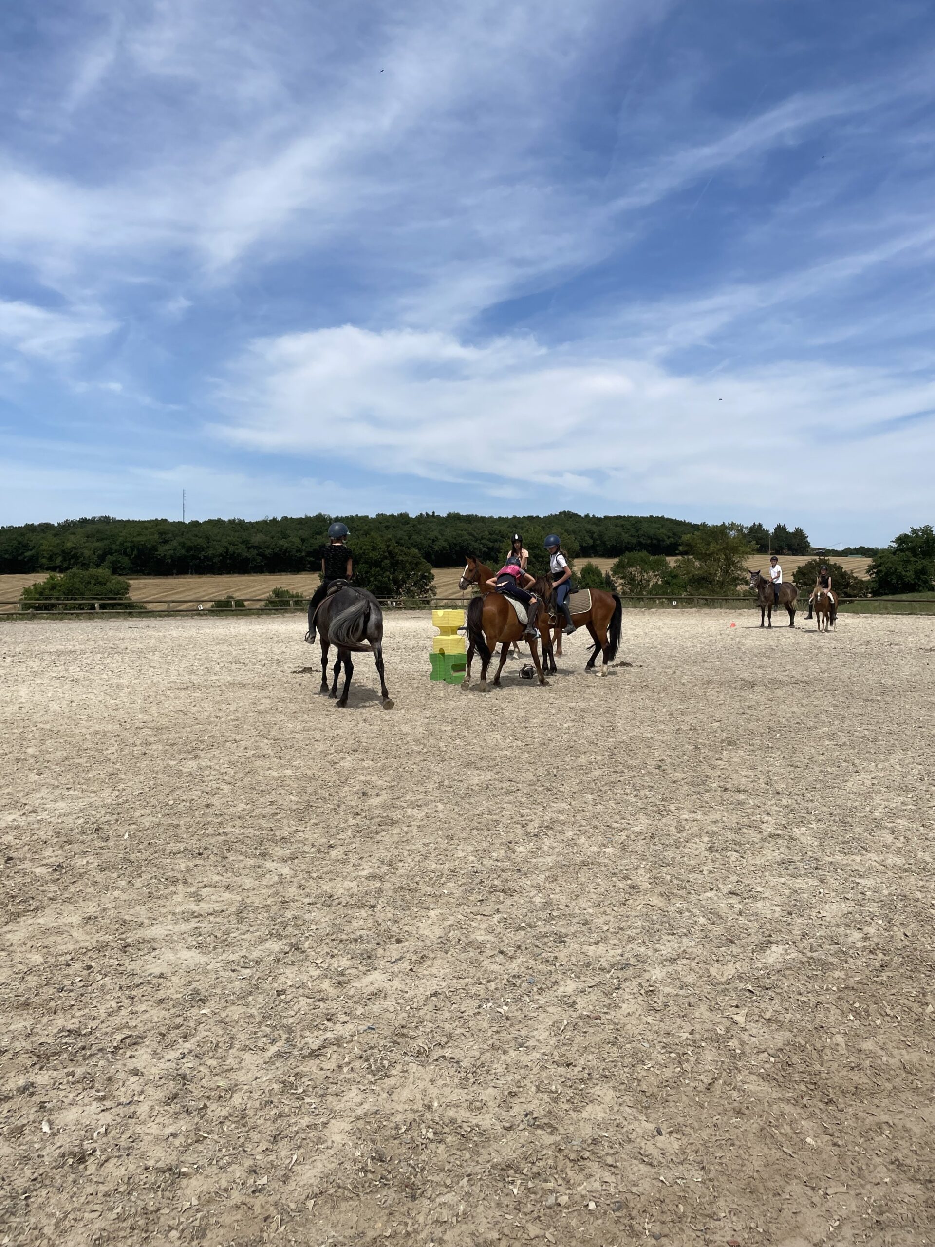 Séjour équitation enfant et Ado gers travail des chevaux en carrière