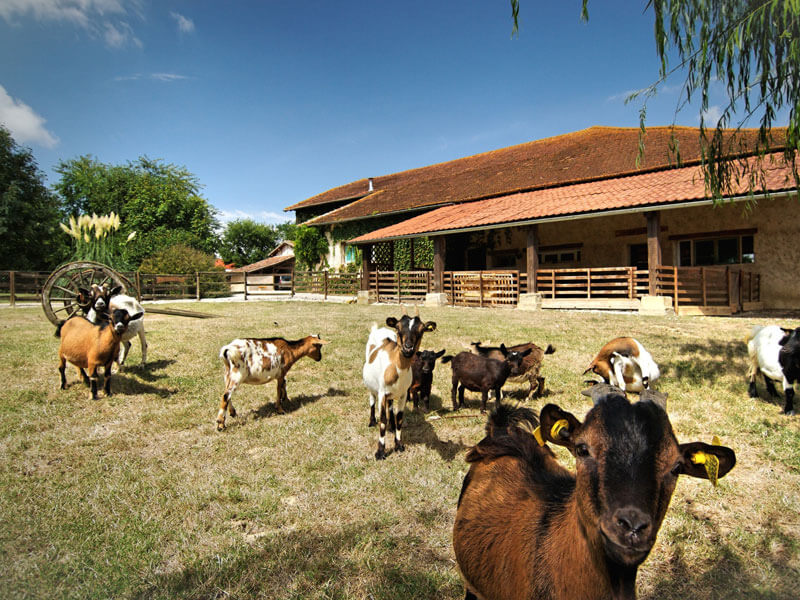 gite-ferme-gers