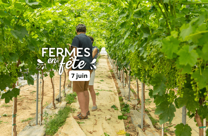Fermes en fête en Astarac Gers 7 juin