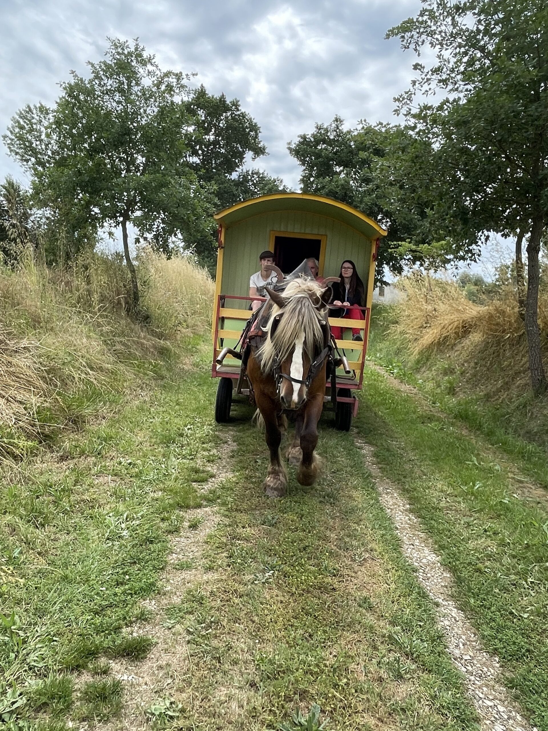 Roulotte-attelee-a-son-cheval-court-sejour-Gers