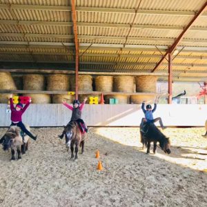 Colonie équitation Gers - les enfants dans le manège sur les poneys